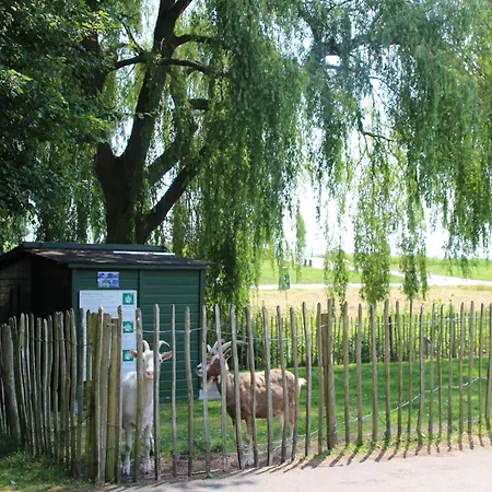 Wellness Retreat In Nature Vakantiehuis Zevenhuizen (Zuidplas)